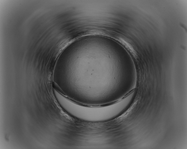 X0000091641001200709131427