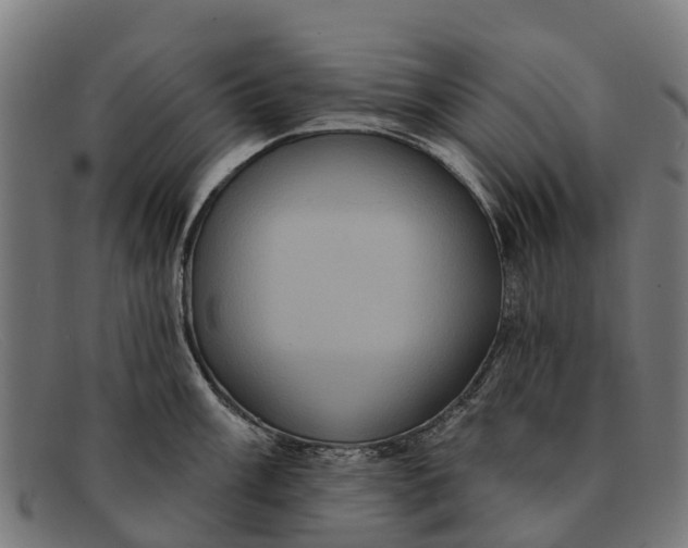 X0000091641003200709131427