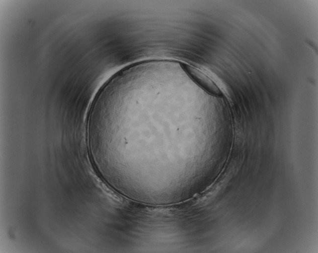 X0000091641004200709131427