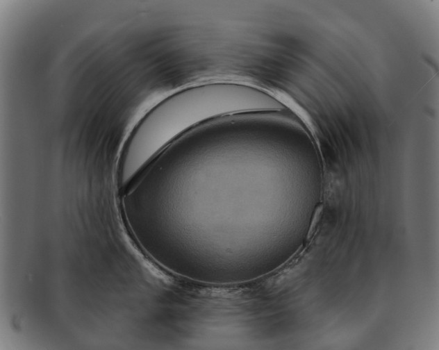 X0000091641005200709131427