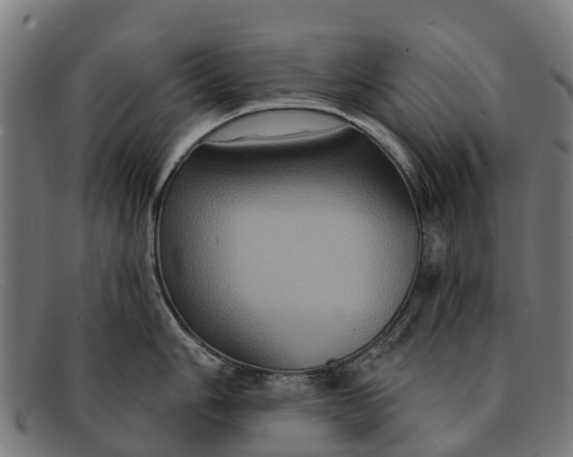X0000091641006200709131427
