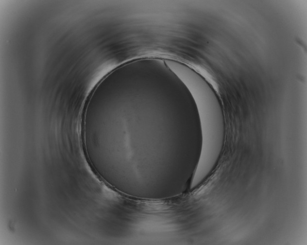 X0000091641007200709131427