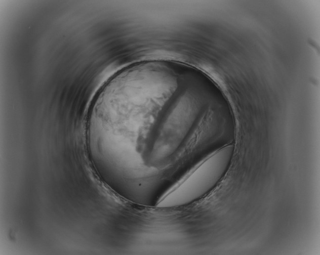 X0000091641008200709131427