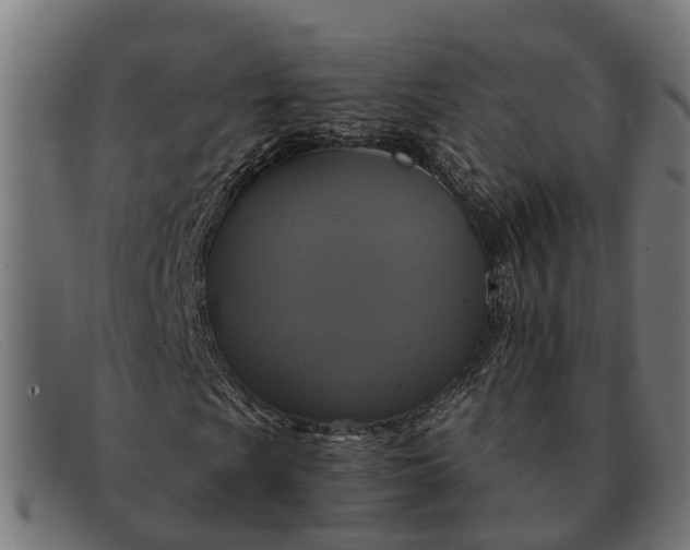 X0000091641009200709131427