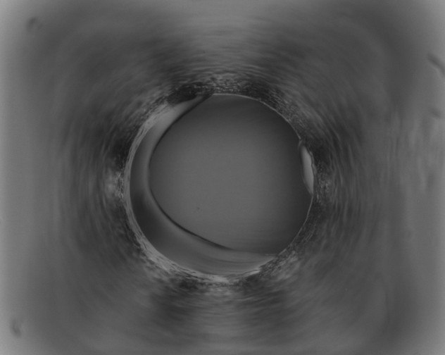 X0000091641010200709131427