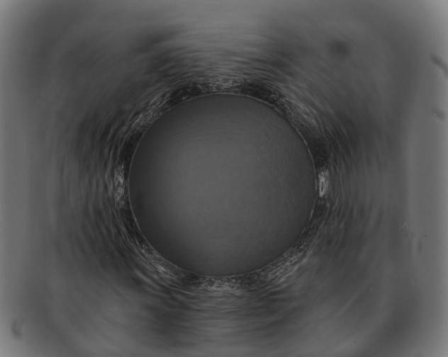X0000091641011200709131427