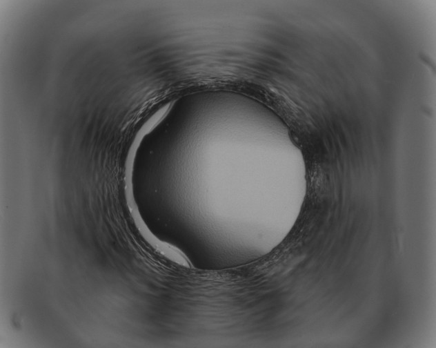 X0000091641012200709131427