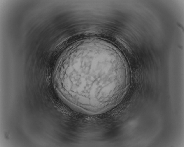X0000091641015200709131427
