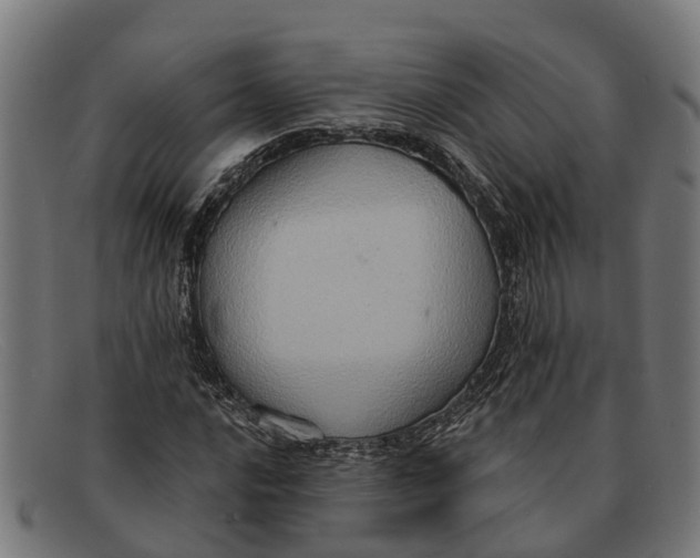 X0000091641016200709131427