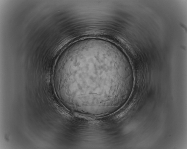 X0000091641017200709131427
