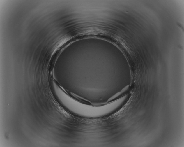 X0000091641018200709131427