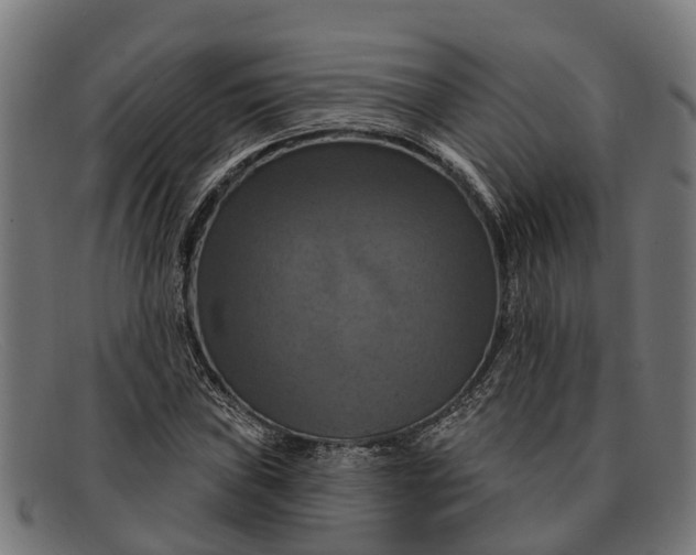 X0000091641019200709131427