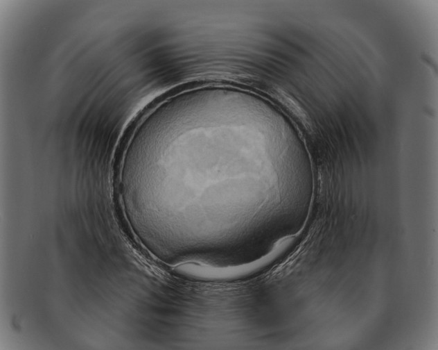 X0000091641020200709131427