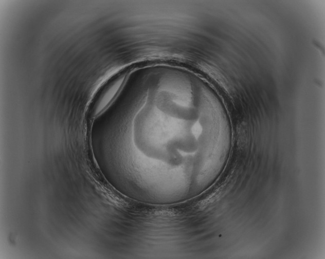 X0000091641021200709131427