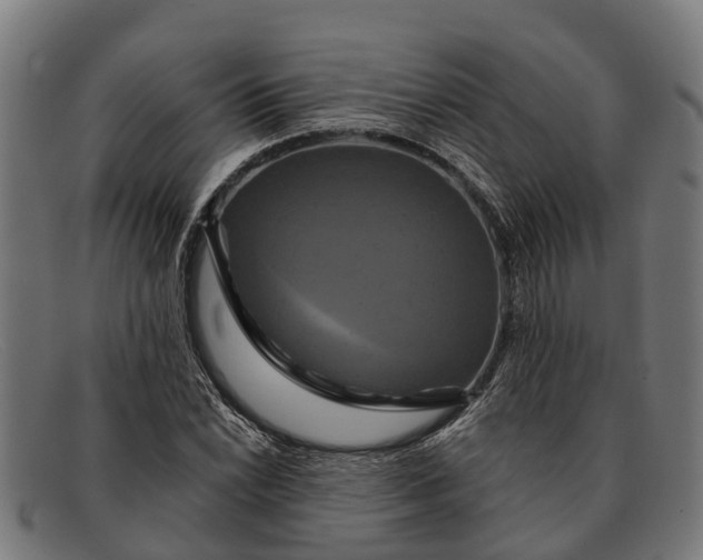 X0000091641022200709131427