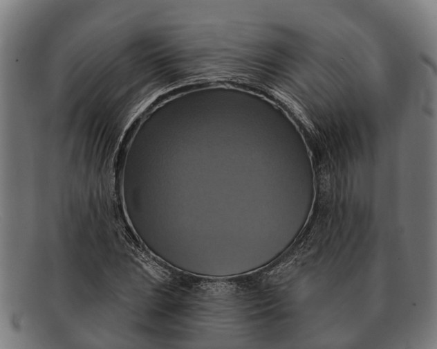 X0000091641023200709131427