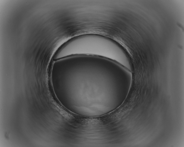 X0000091641024200709131427
