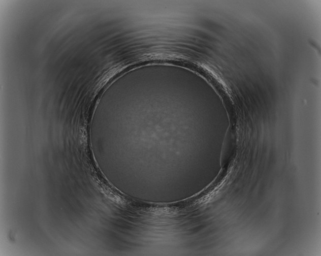 X0000091641025200709131427