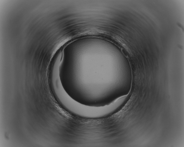 X0000091641026200709131427