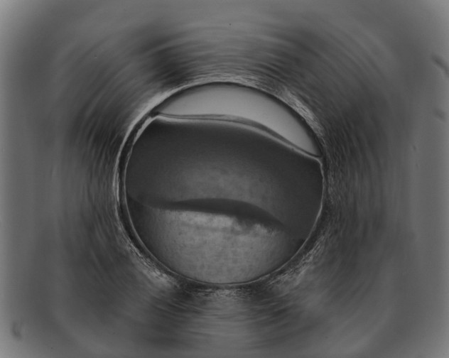 X0000091641028200709131427