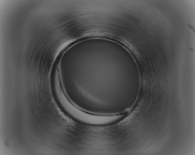 X0000091641030200709131427