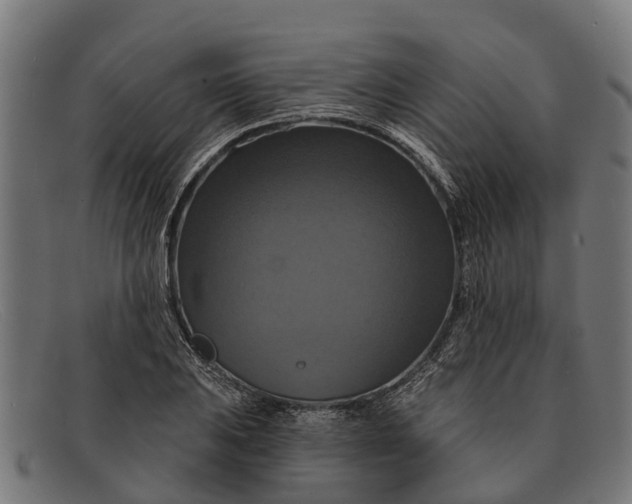 X0000091641031200709131427