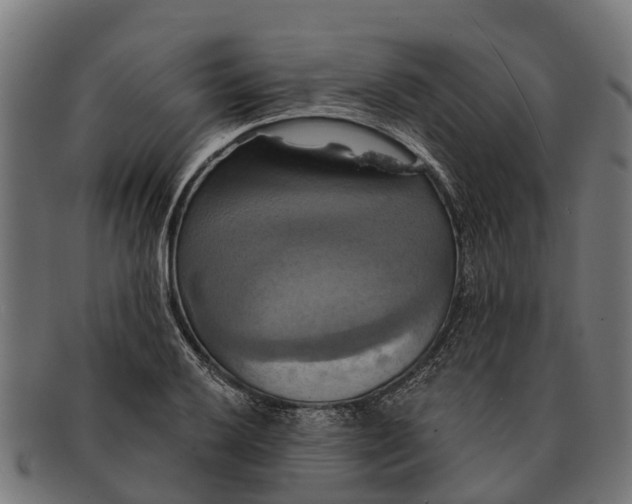 X0000091641032200709131427