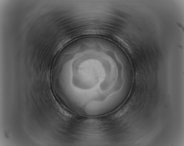 X0000091641033200709131427