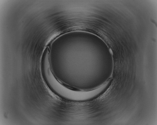 X0000091641034200709131427