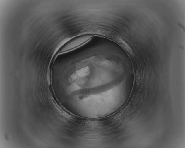 X0000091641036200709131427