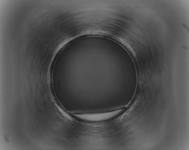 X0000091641037200709131427
