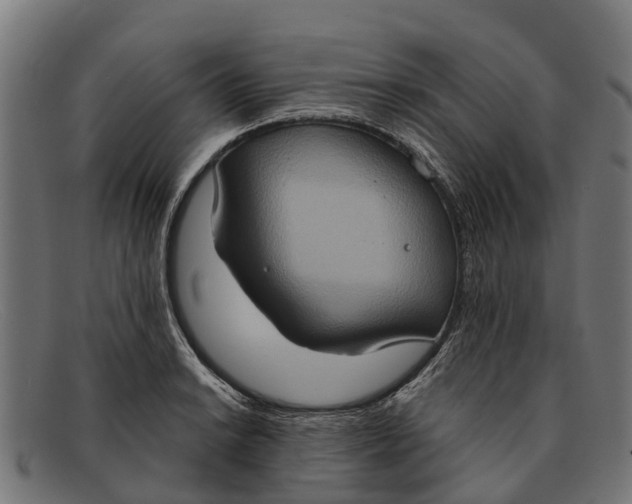 X0000091641038200709131427
