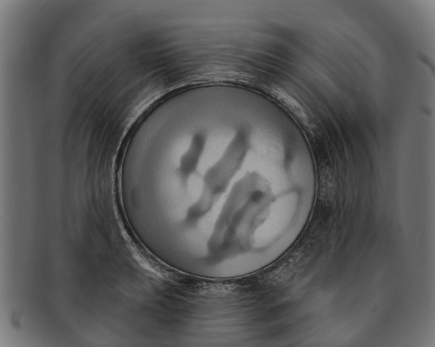 X0000091641039200709131427