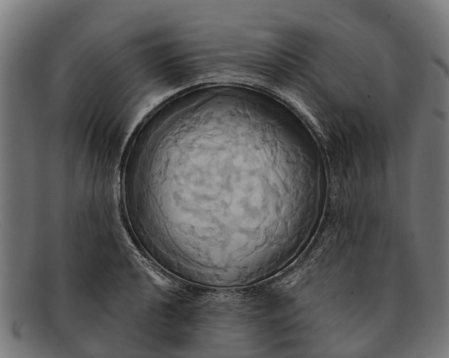 X0000091641040200709131427