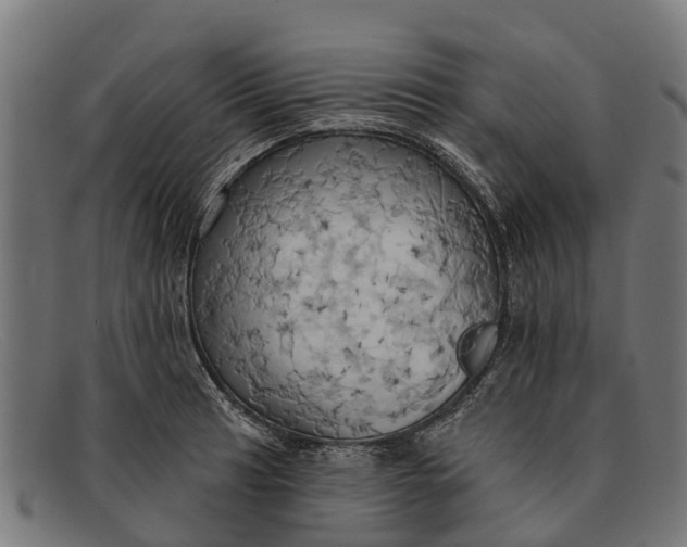 X0000091641041200709131427