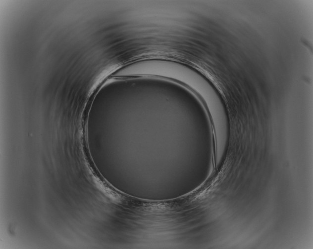 X0000091641042200709131427