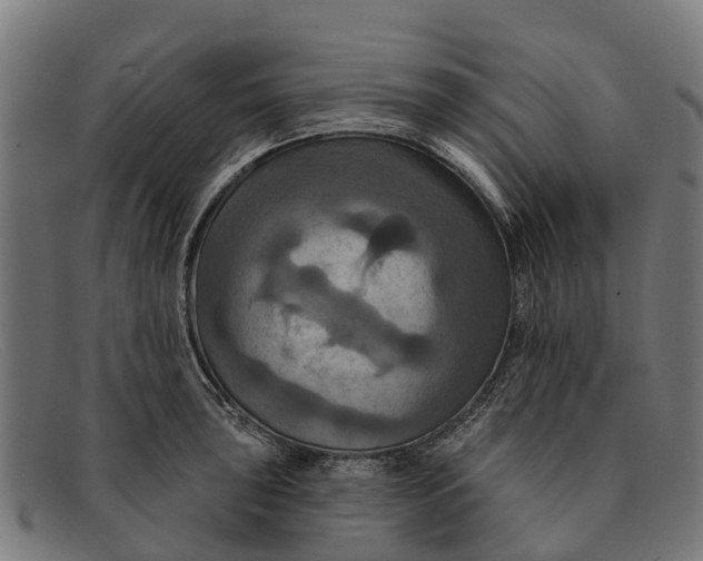 X0000091641043200709131427
