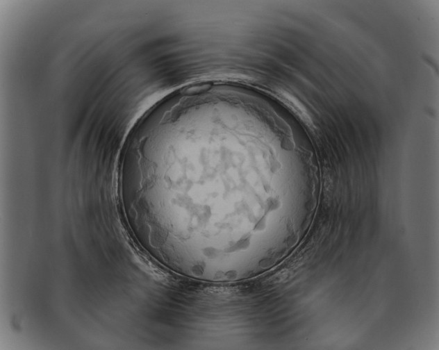 X0000091641044200709131427