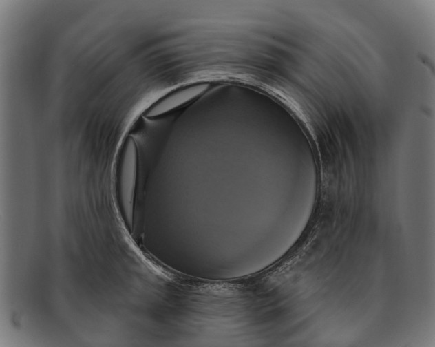 X0000091641045200709131427
