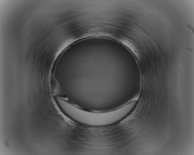 X0000091641046200709131427