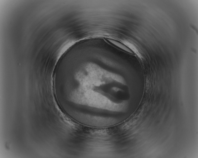 X0000091641047200709131427