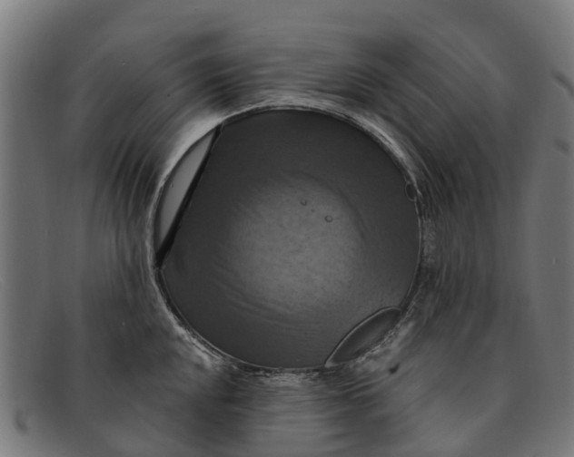 X0000091641048200709131427