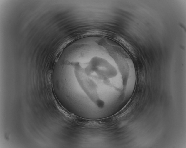 X0000091641049200709131427