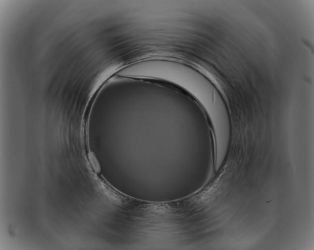 X0000091641050200709131427