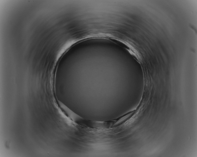 X0000091641054200709131427