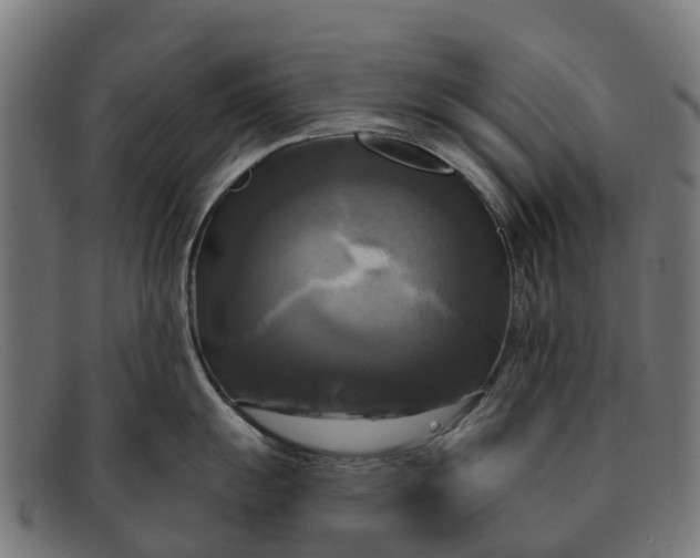 X0000091641055200709131427