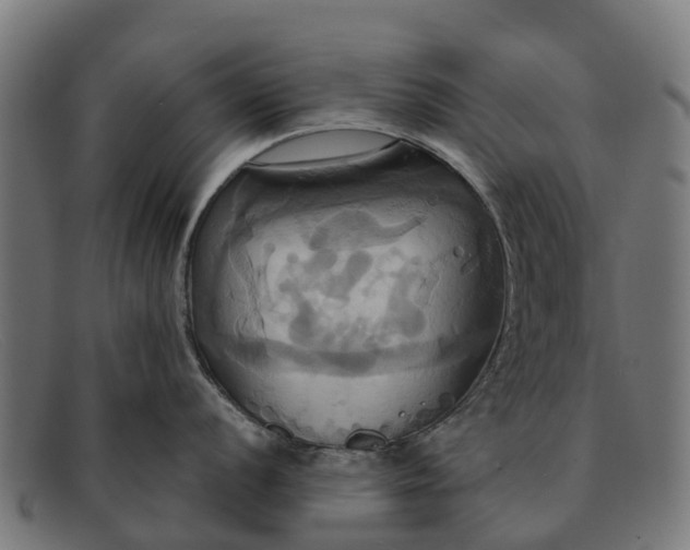 X0000091641056200709131427