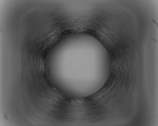 X0000091641058200709131427
