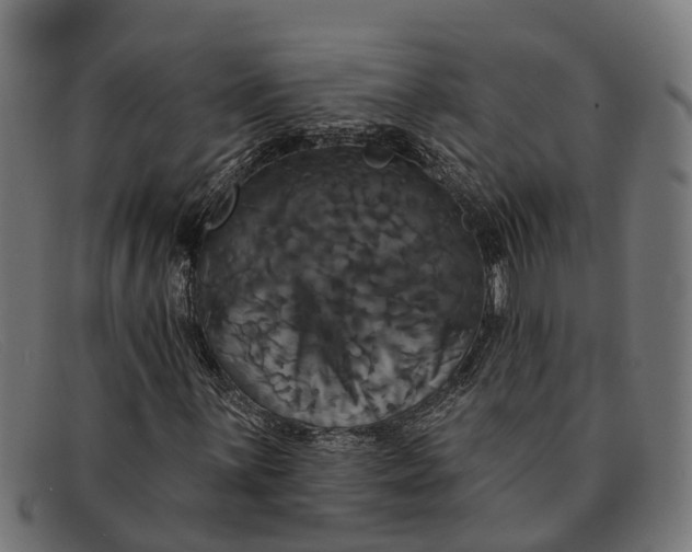 X0000091641059200709131427
