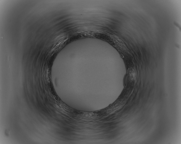 X0000091641060200709131427